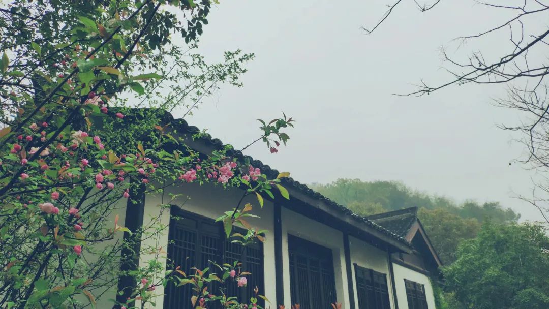杭州茶書院啟幕 | 當(dāng)代「韓熙載夜宴」，復(fù)現(xiàn)中國文人雅趣生活插圖16