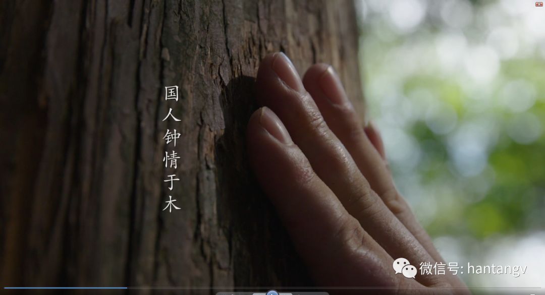 漢唐最新宣傳片《漢唐匠心》震撼發(fā)布！插圖2